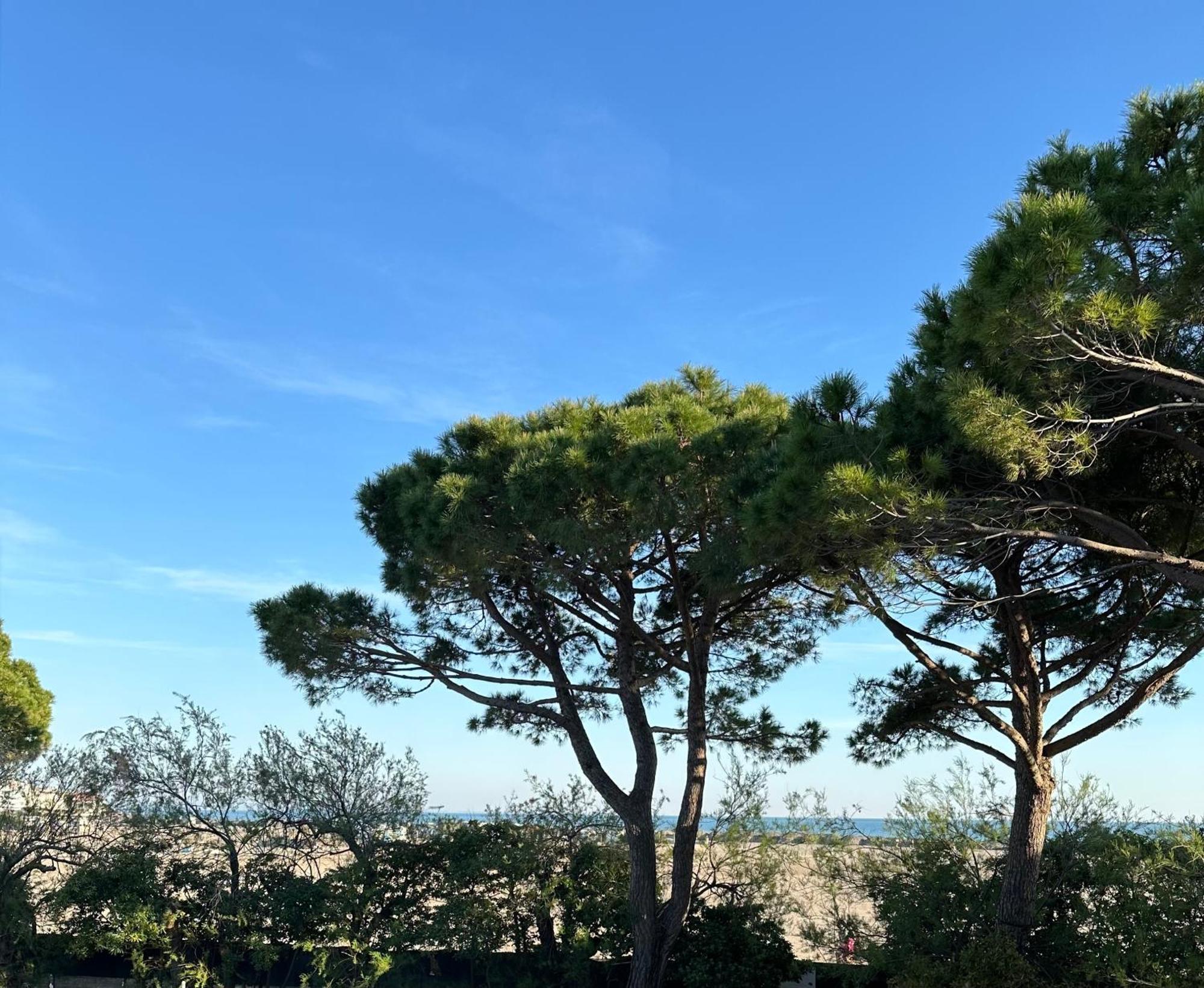 Porto San Vito Resort Grado Esterno foto